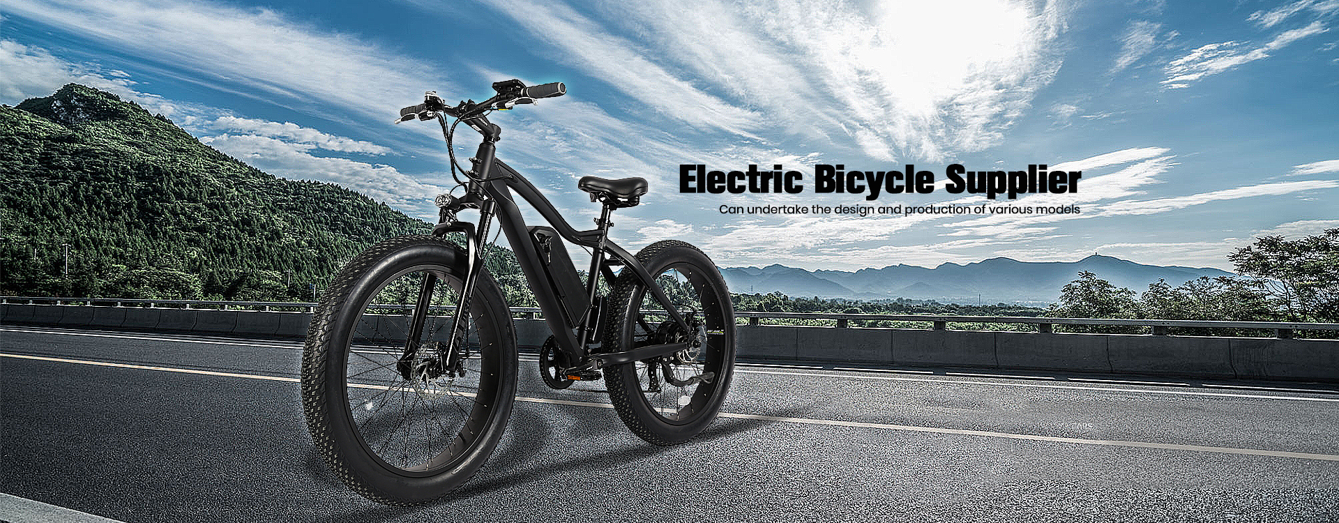 Nb power sale ebike